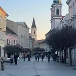 Tamas - Panoramas, Tagas Lakas A Toertenelmi Belvarosban Kilatassal A Viragorara Lejlighed