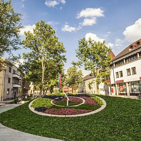 Lejlighed Tamas - Panoramas, Tagas Lakas A Toertenelmi Belvarosban Kilatassal A Viragorara Székesfehérvár