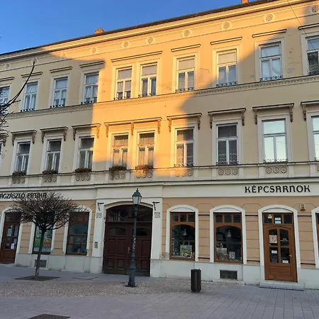Tamas - Panoramas, Tagas Lakas A Toertenelmi Belvarosban Kilatassal A Viragorara Apartment *