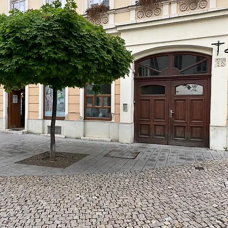 Tamas - Panoramas, Tagas Lakas A Toertenelmi Belvarosban Kilatassal A Viragorara Lejlighed *