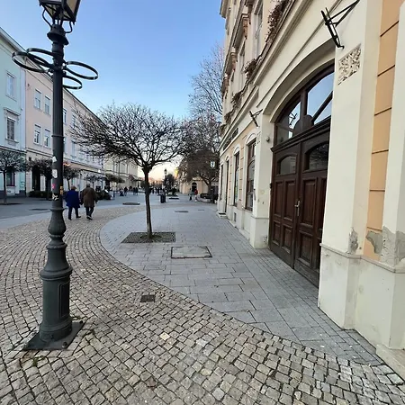 Lejlighed Tamas - Panoramas, Tagas Lakas A Toertenelmi Belvarosban Kilatassal A Viragorara *