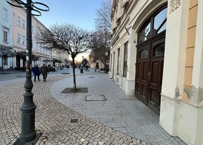 Apartment Tamas - Panoramas, Tagas Lakas A Toertenelmi Belvarosban Kilatassal A Viragorara *